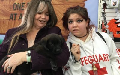 Another Life Saved – Dale