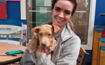 Another Life Saved – Doby
