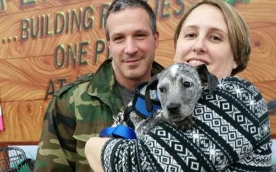 Another Life Saved – Dollar