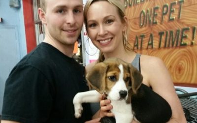 Another Life Saved – Flower