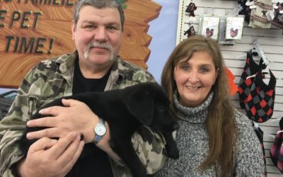 Another Life Saved – Ghandi
