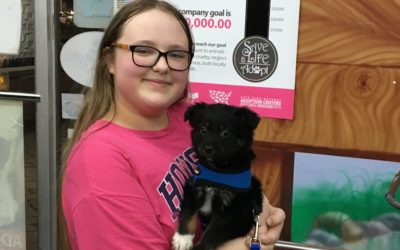 Another Life Saved – Hadley