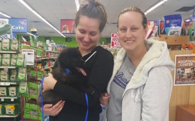 Another Life Saved – Hedge