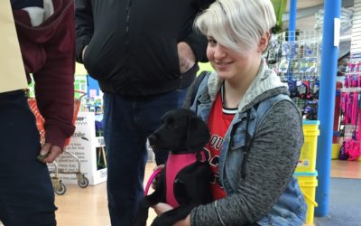 Another Life Saved – Jelly
