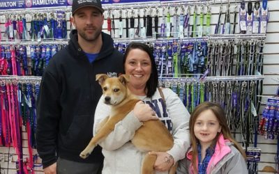 Another Life Saved – Jiggs