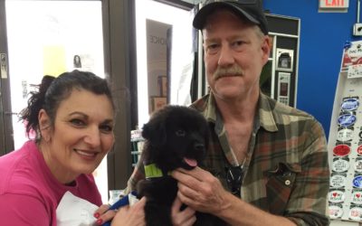 Another Life Saved – Jughead (renamed Fin)