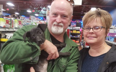 Another Life Saved – Juliet