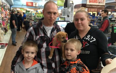Another Life Saved – Kelsey