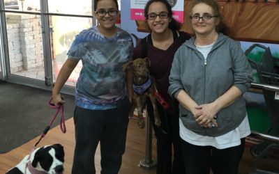 Another Life Saved – Kingsley