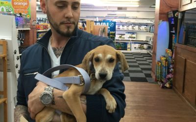 Another Life Saved – Lacey