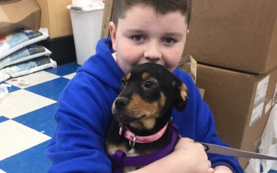 Another Life Saved – Layla