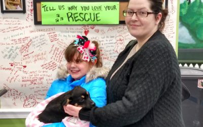 Another Life Saved – Lily