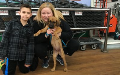 Another Life Saved – Loe