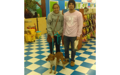 Another Life Saved – Lola