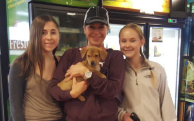 Another Life Saved – Louise