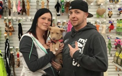 Another Life Saved – Lucy