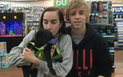 Another Life Saved – Lulu
