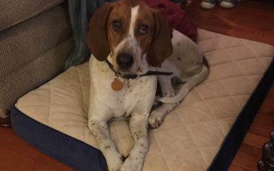 Another Life Save – Lulu