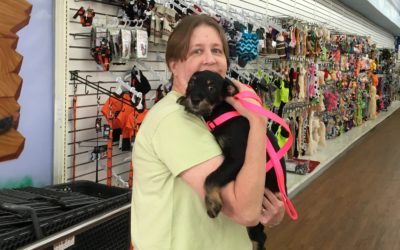 Another Life Saved – Missy