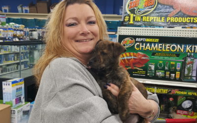 Another Life Saved – Morgan