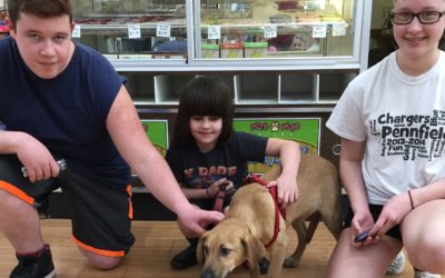 Another Life Saved – Muffin Mannn