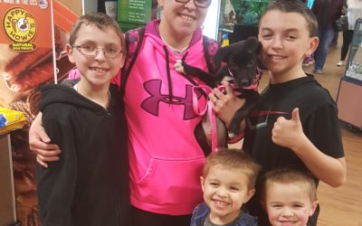 Another Life Saved – Nubbs