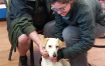 Another Life Saved – Patch