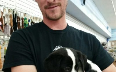 Another Life Saved – Penelope