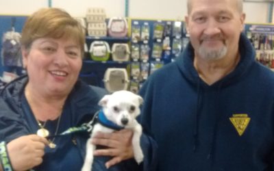 Another Life Saved – Pepe