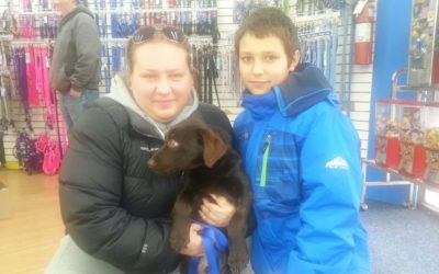 Another Life Saved – Reese