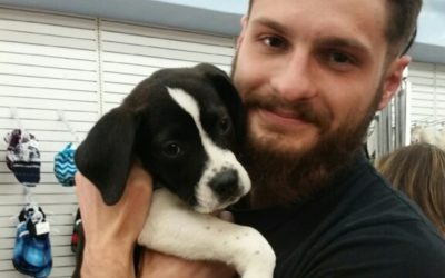 Another Life Saved – Romeo