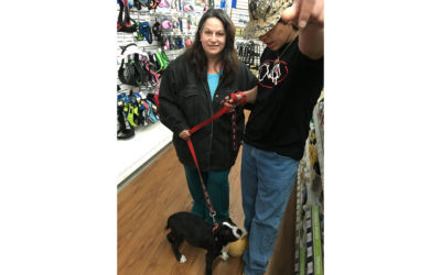 Another Life Saved – Saffron