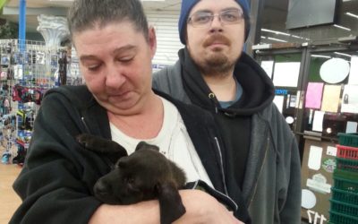 Another Life Saved – Sammy