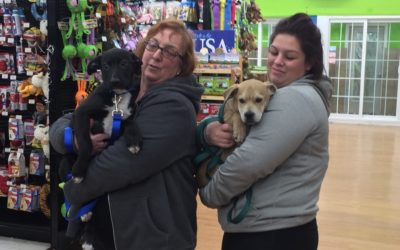 Another Life Saved – Schneider & Cameron