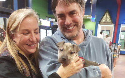 Another Life Saved – Spike