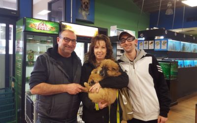 Another Life Saved – Sully