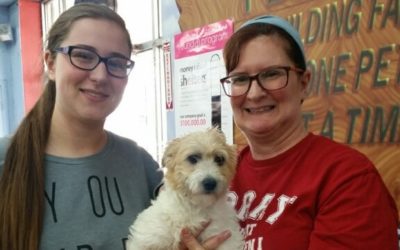 Another Life Saved – Sunny