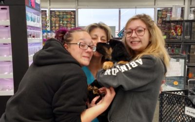 Another Life Saved – Tanner