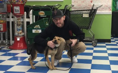 Another Life Saved – Timber