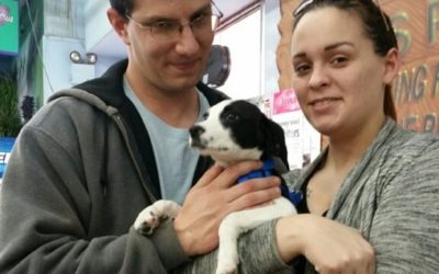 Another Life Saved – Timon