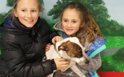 Another Life Saved – Chip