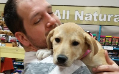 Another Life Saved – Rosie