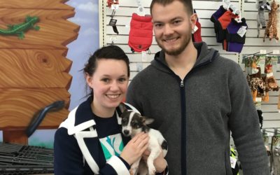 Another Life Saved – Abby