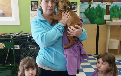 Another Life Saved – Alvin