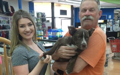 Another Life Saved – Bindy