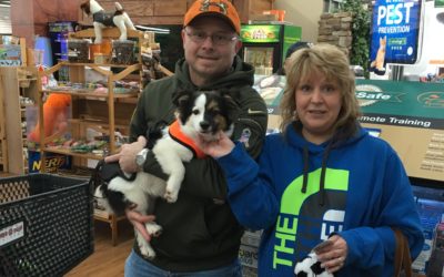 Another Life Saved – Bobo