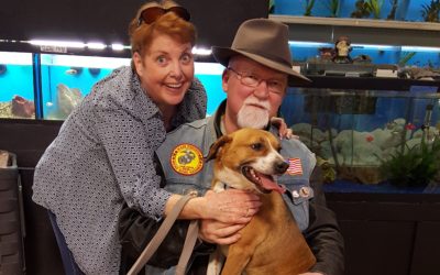 Another Life Saved – D-rail