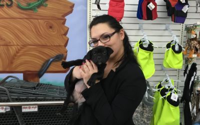 Another Life Saved – Delta