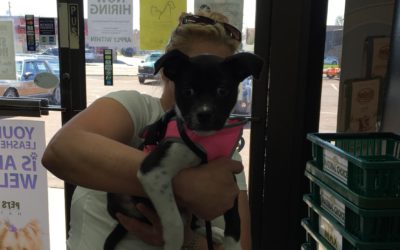 Another Life Saved – Elisha