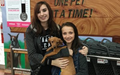Another Life Saved – Ethel